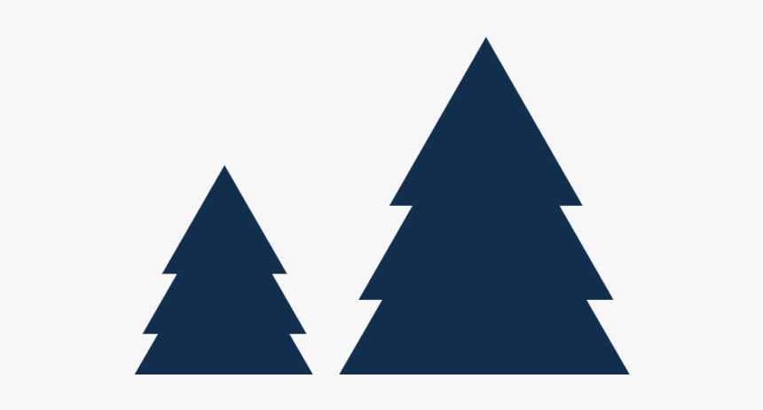Christmas Tree, HD Png Download