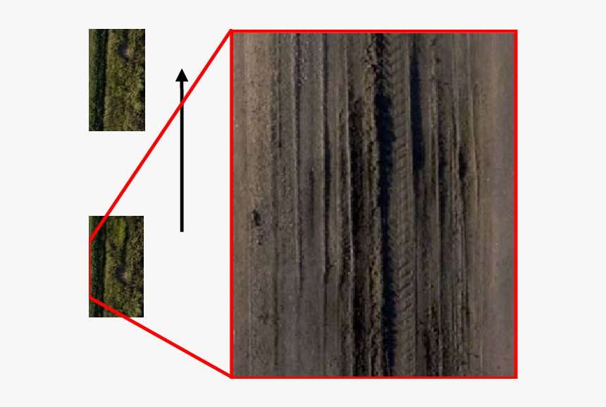 Cypress Family, HD Png Download