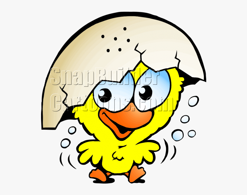 Chicken Hatched Egg - Цыплёнок Нарисованный, HD Png Download