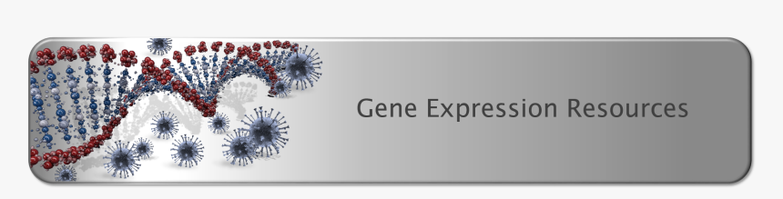 Gene Expression Resources - Poppy, HD Png Download