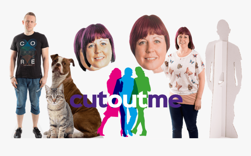 Image - Domestic Short-haired Cat, HD Png Download