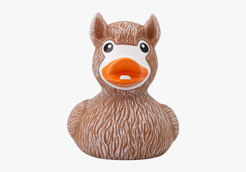 Lama Ente Frontal - Duck Lama, HD Png Download