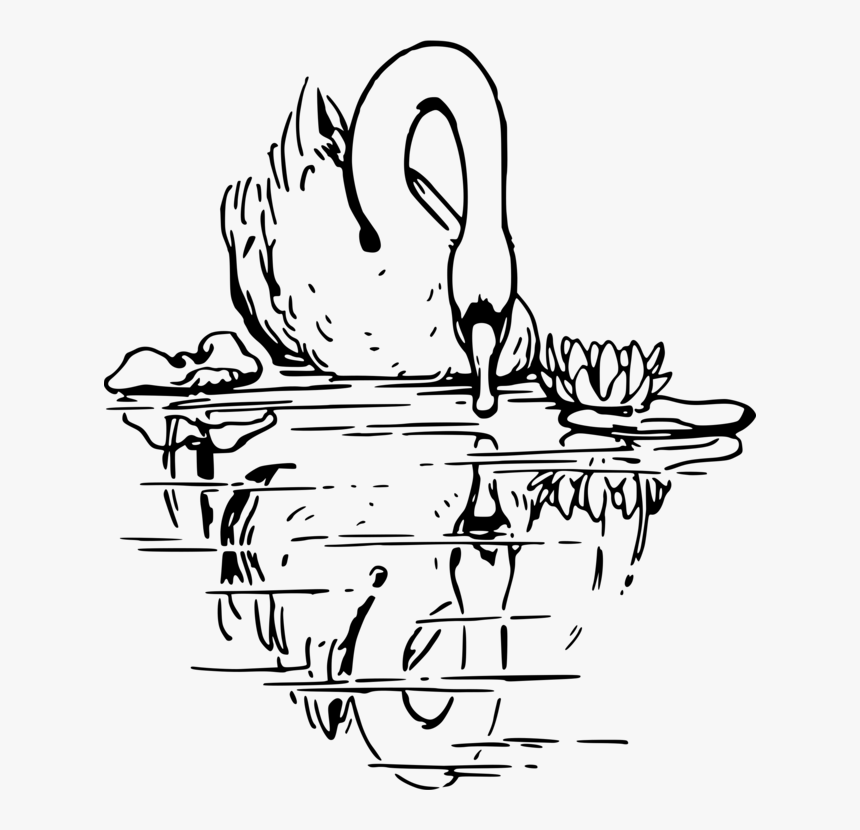 Art,monochrome Photography,text - Swans In A Lake Black And White Clipart, HD Png Download