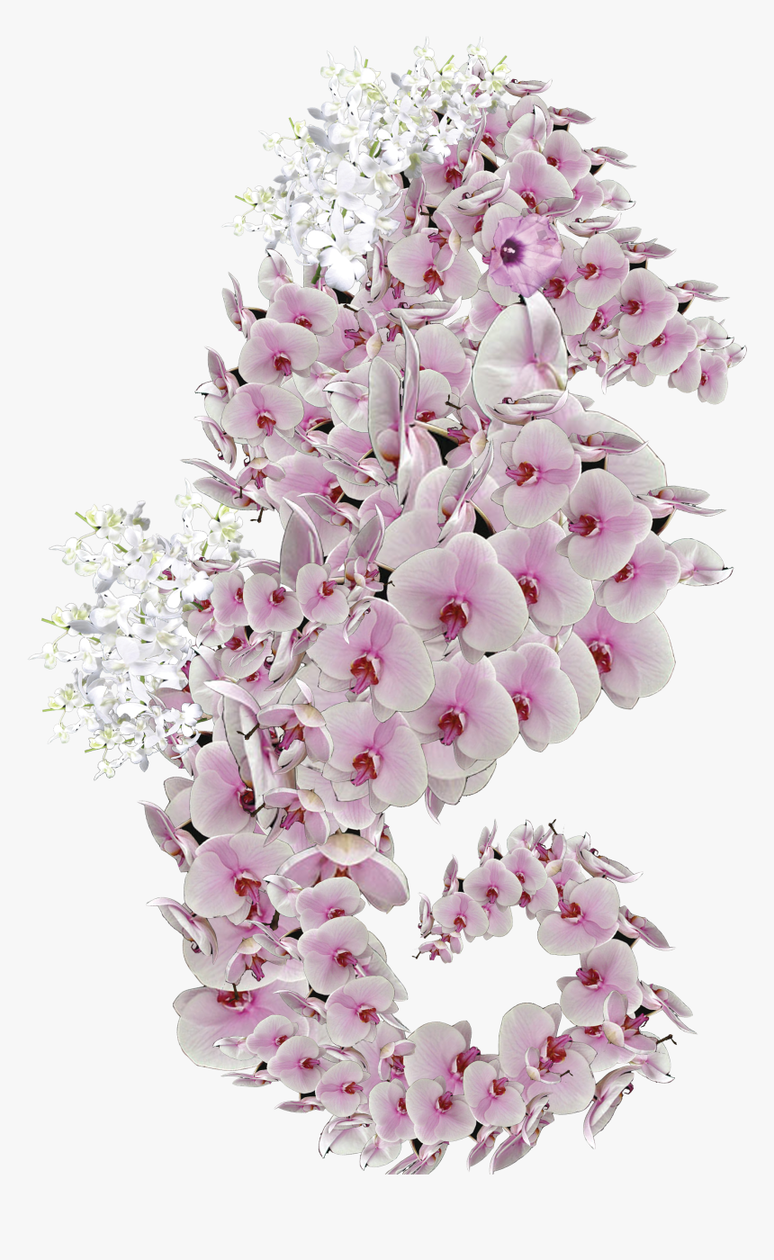 Bouquet, HD Png Download