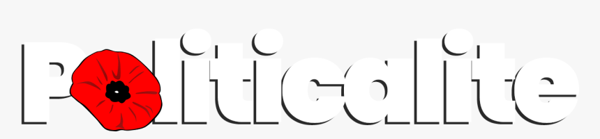 Remembrance Day Poppy, HD Png Download