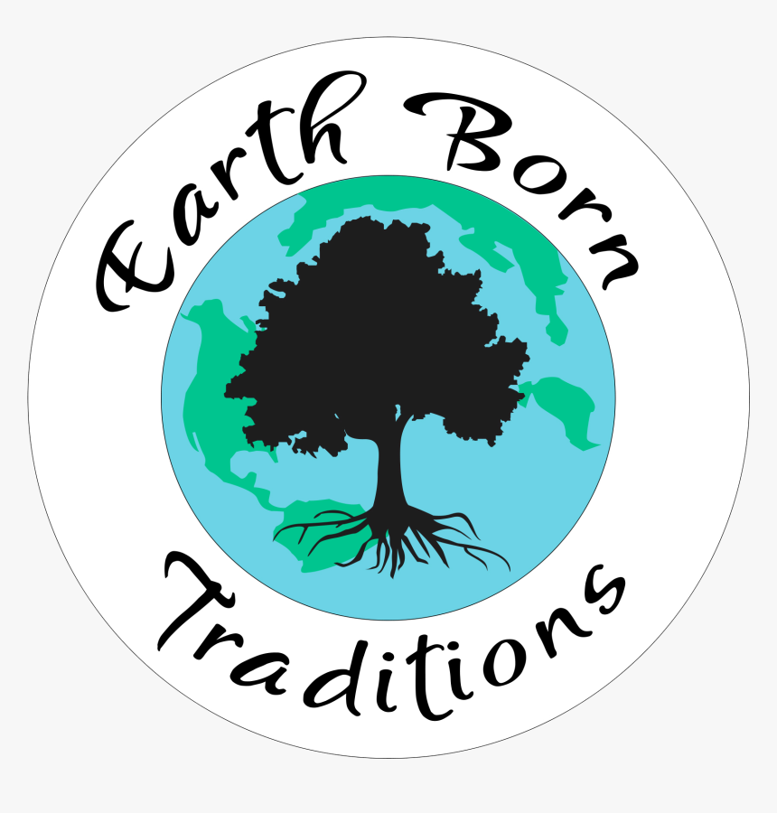 Logo Color In Png - Tree, Transparent Png