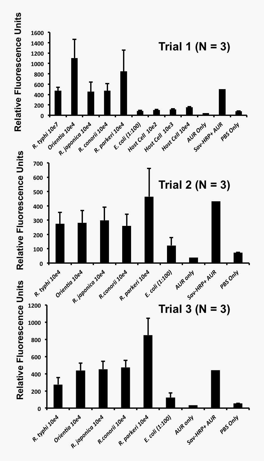 T Cell, HD Png Download
