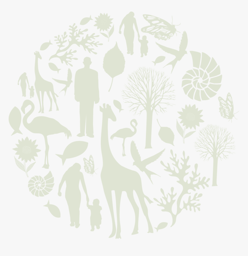 Logo Ppt - Illustration, HD Png Download