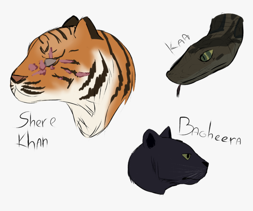 Clip Movis The Jungle Book - Jungle Book Movie Draw, HD Png Download