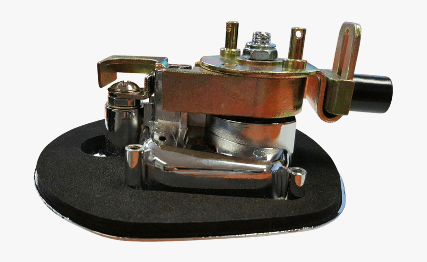 Whale Tail Underside - Machine, HD Png Download