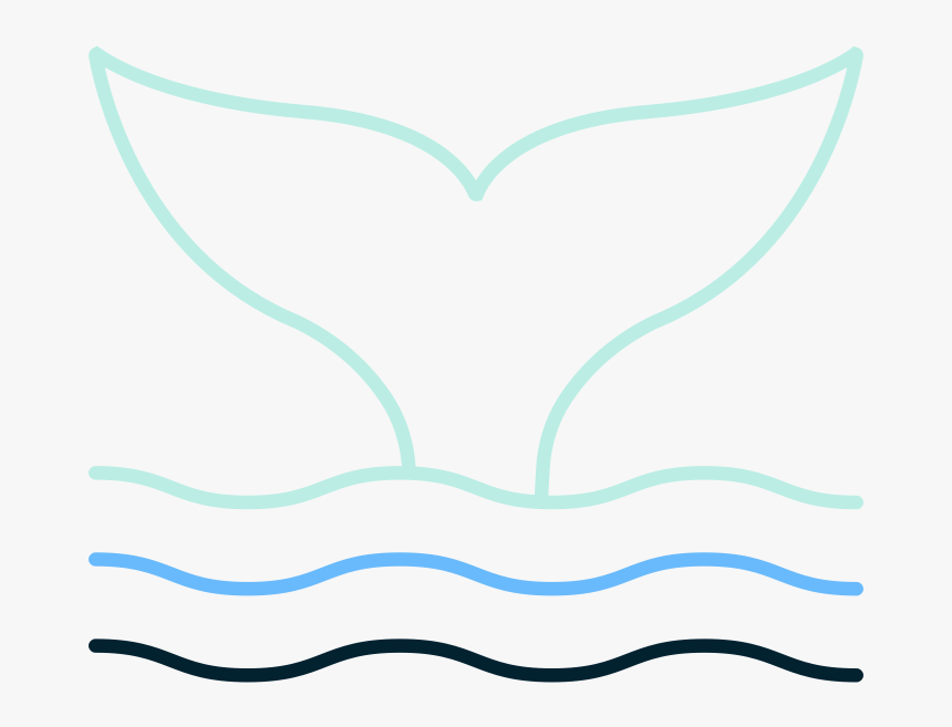 Whaletail, HD Png Download