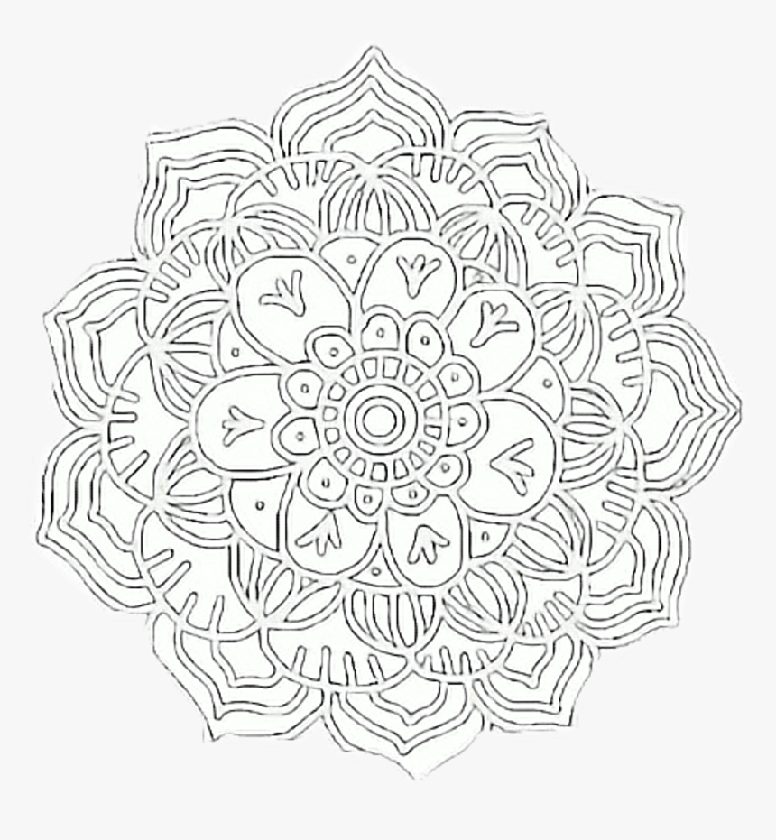 Circle , Png Download - Circle, Transparent Png