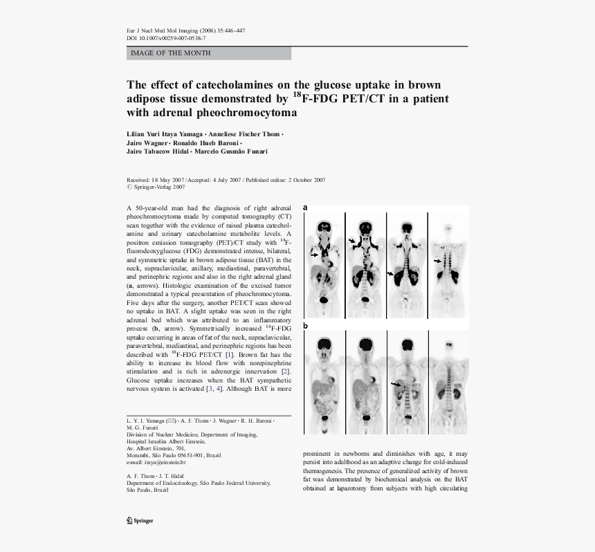 Number, HD Png Download