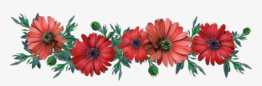 #red #flower #crown #flowercrown #redcrown #redflower - Pink Daisies Png, Transparent Png