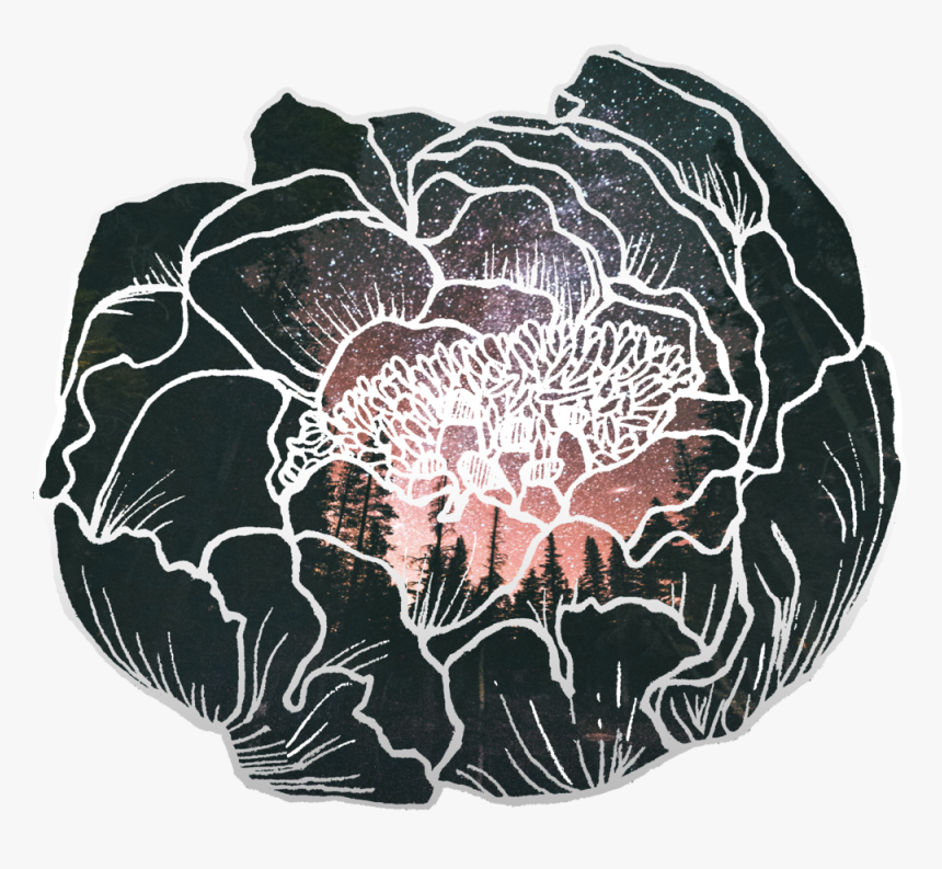 Peony Forest Sunset Sticker - Datura Inoxia, HD Png Download