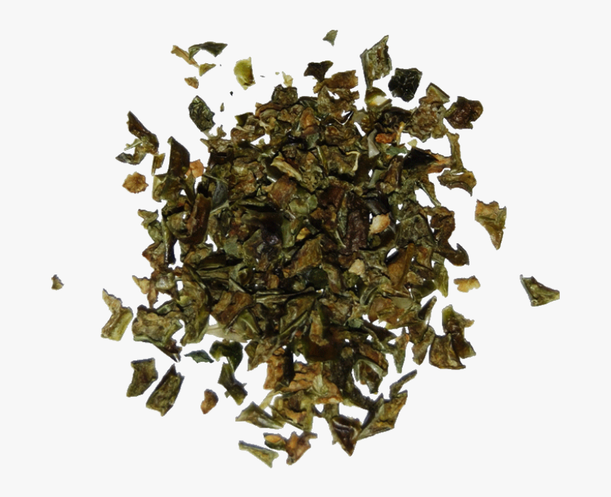 The Herb Shop - Camouflage, HD Png Download