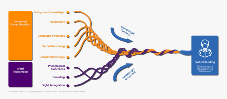 Scarboroughs Rope Sareads Web - Scarborough Reading Rope, HD Png Download