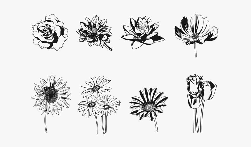 Floral Design Silhouette Flower - Flower Silhouette, HD Png Download