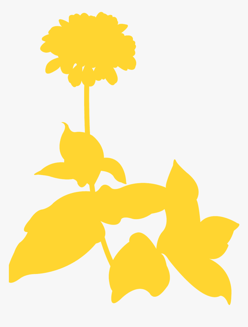 Orchid, HD Png Download