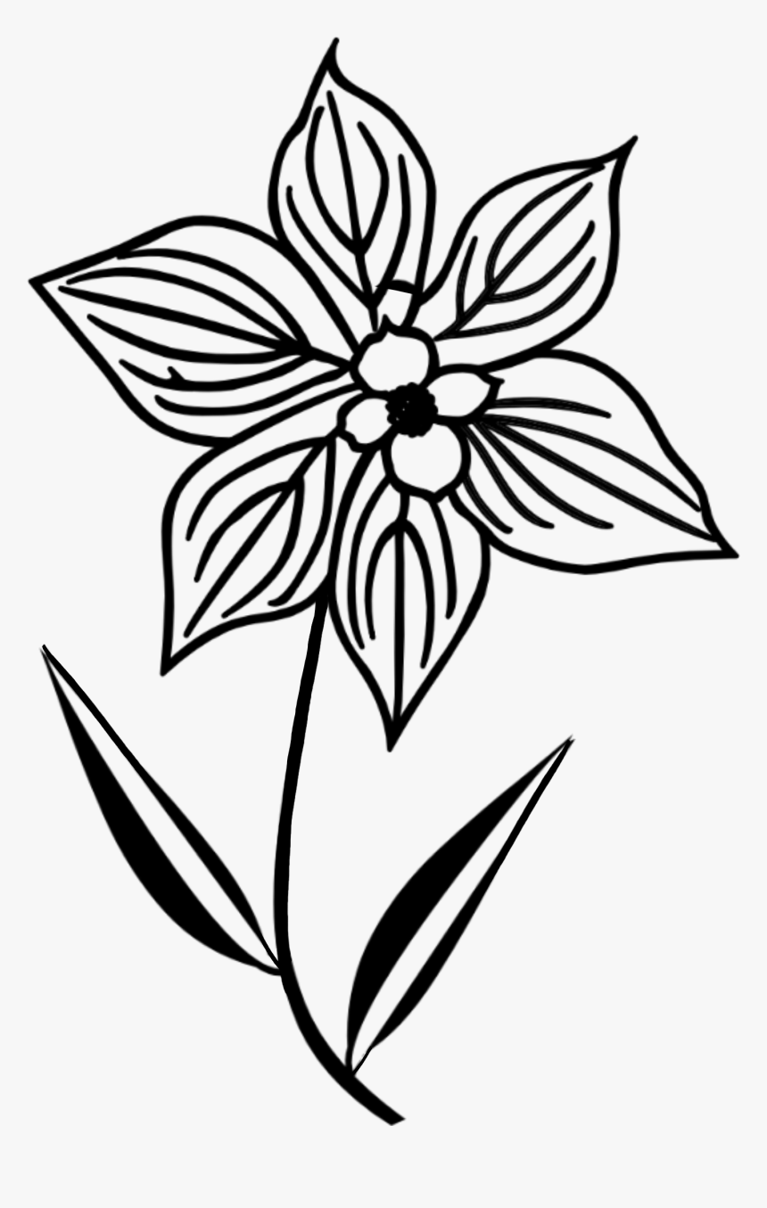 #doodle #flower #silhouette
some - Outline Of A Flower, HD Png Download
