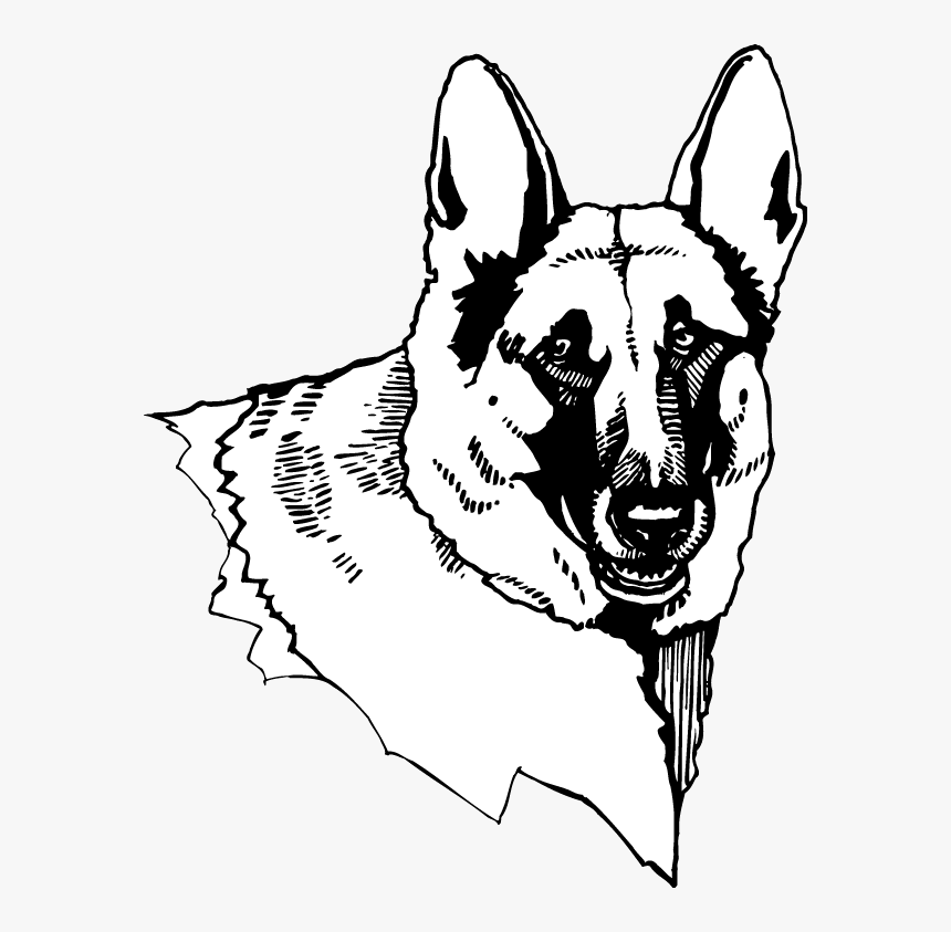 German Shepherd Head View Decal - Old German Shepherd Dog, HD Png Download