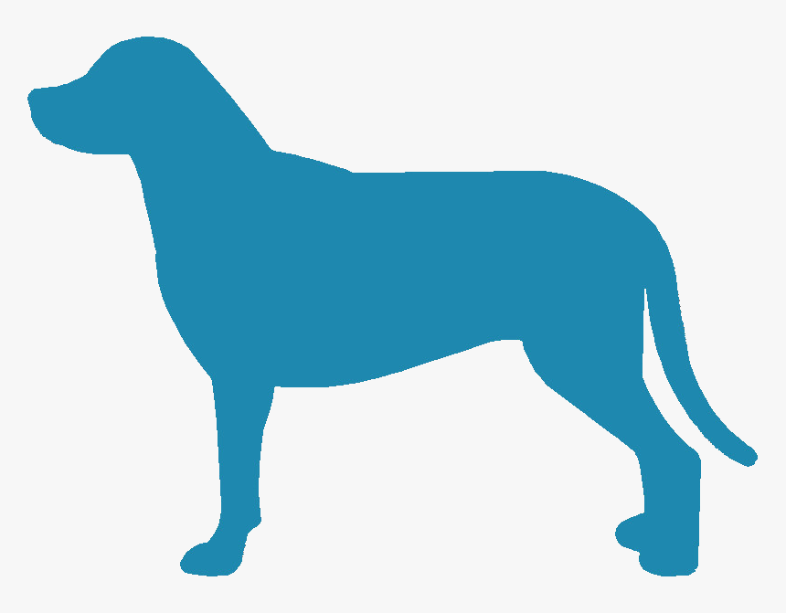 Greater Swiss Mountain Dog Silhouette - Dog Silhouette Color Png, Transparent Png