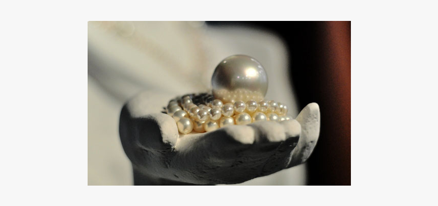 Pearl, HD Png Download