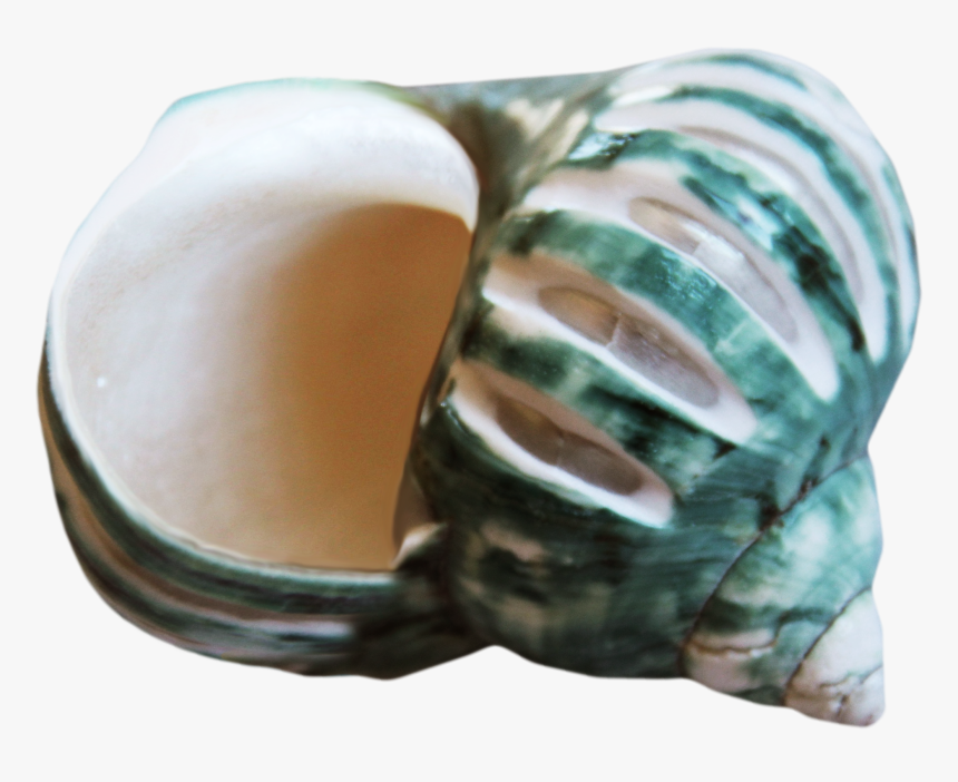 Beach Of La Concha - Egg, HD Png Download