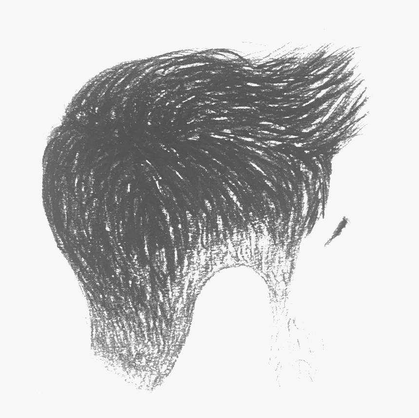 7 - Sketch, HD Png Download