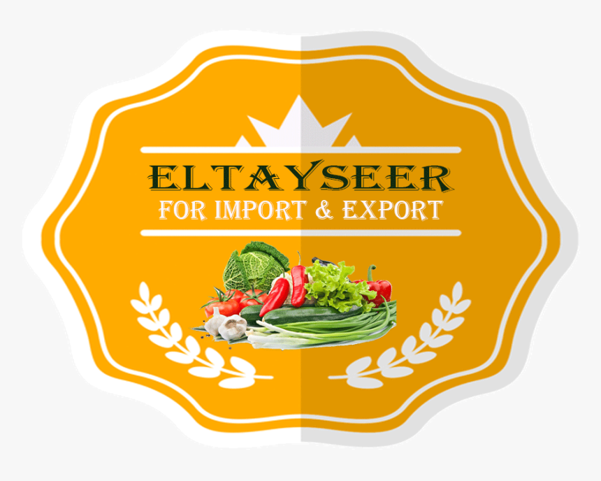 Salad Cutter Bowl, Vegetable Chopper, Salad Shooter, - Dish, HD Png Download