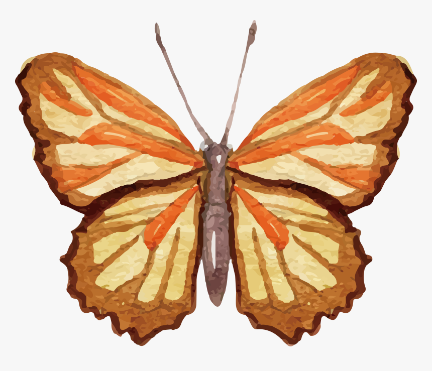 Ai Vector Watercolour Butterfly , Png Download - Watercolor Painting, Transparent Png