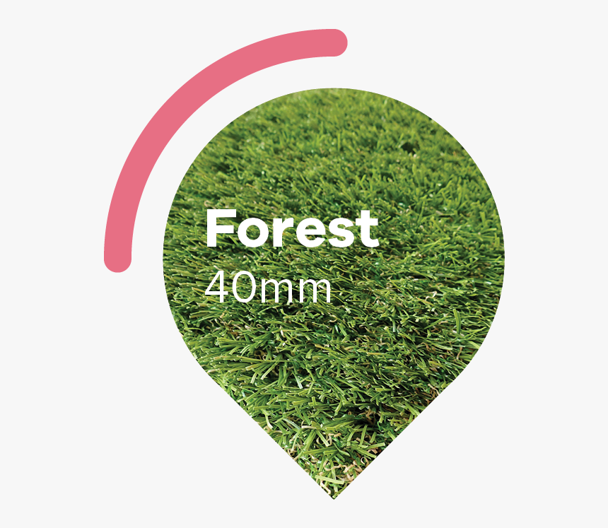 Woodland-buble - Artificial Turf, HD Png Download