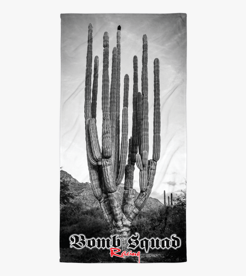 San Pedro Cactus, HD Png Download