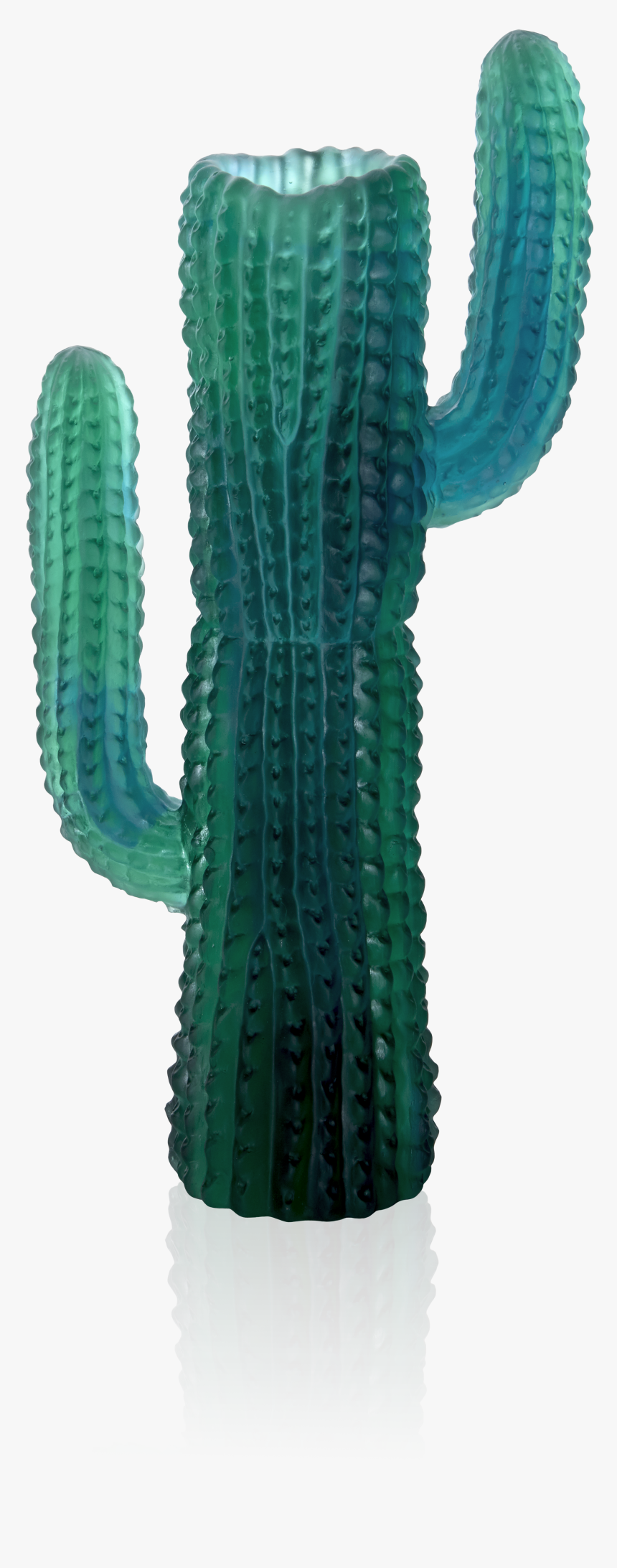 Hedgehog Cactus, HD Png Download