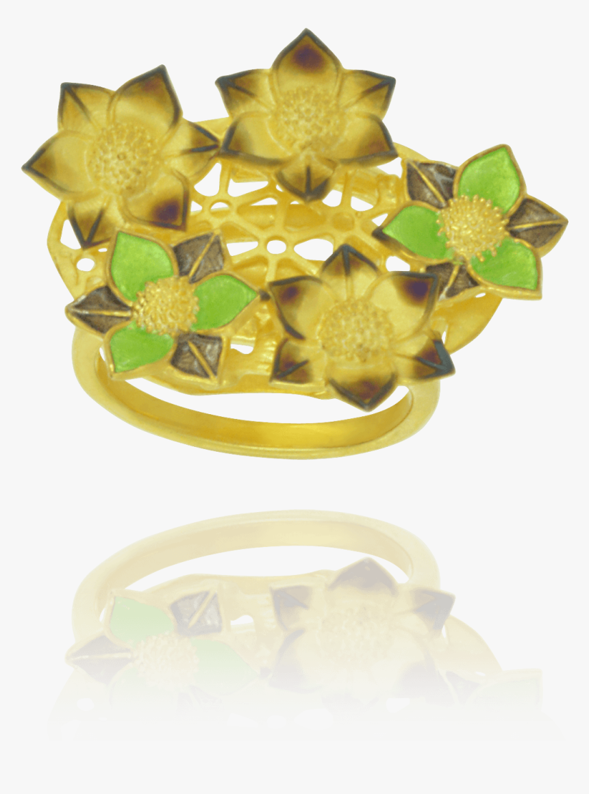 Starfruit, HD Png Download