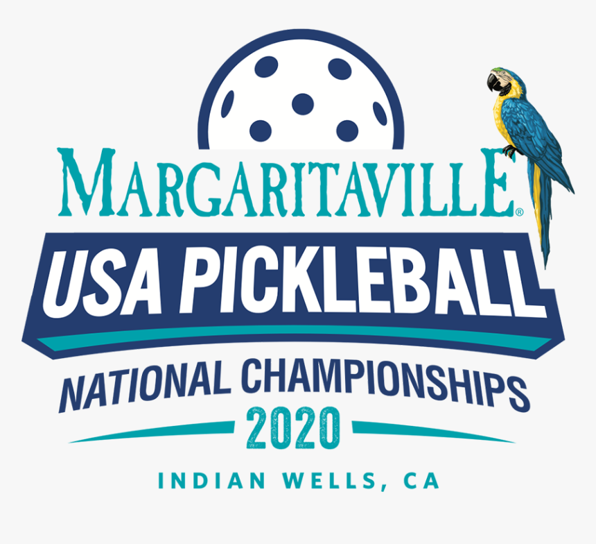 Parakeet, HD Png Download