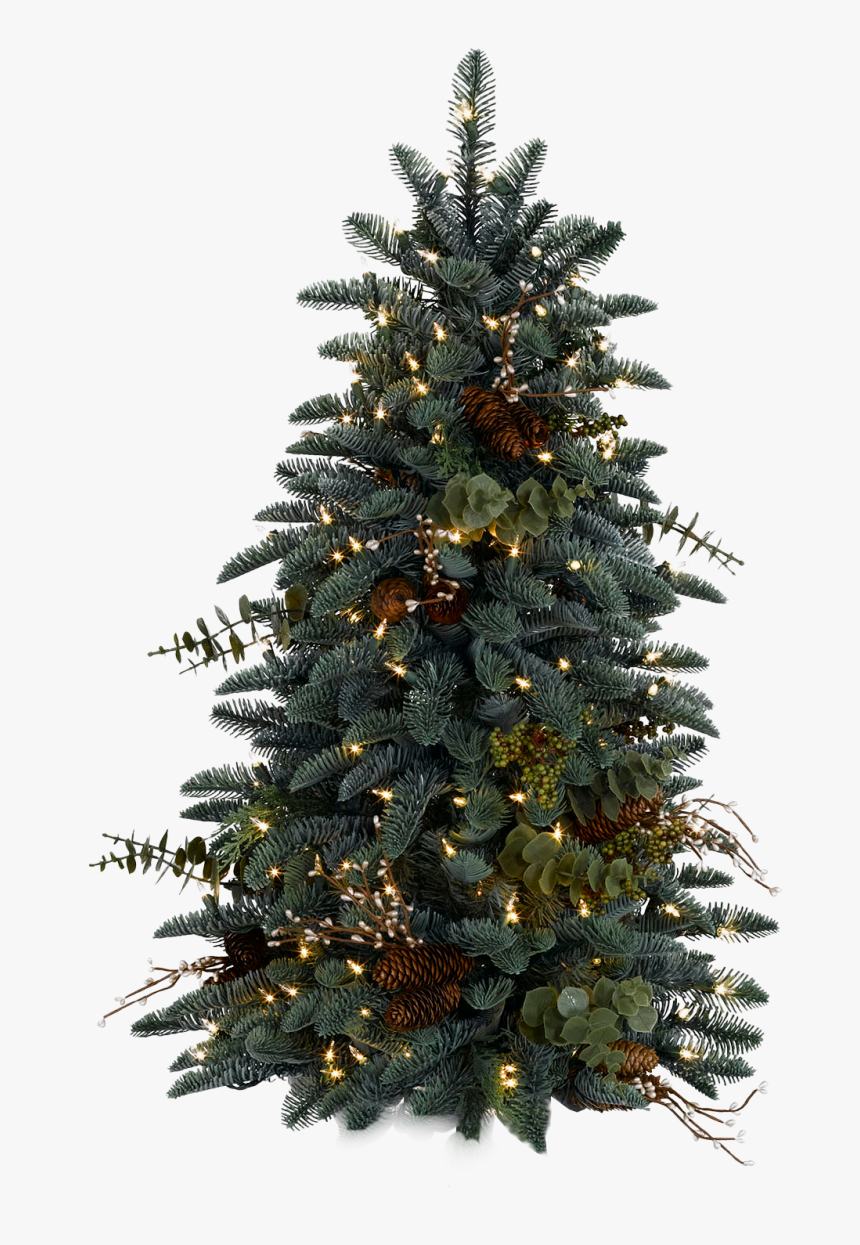 Christmas Tree Png Hd, Transparent Png