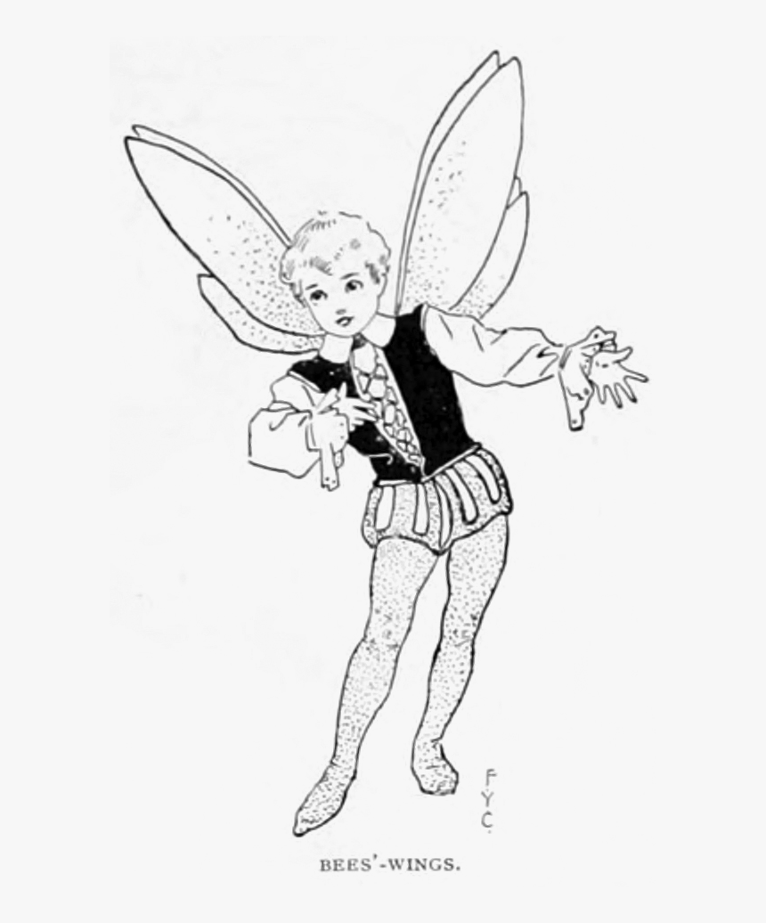 Fairy Wing Png, Transparent Png
