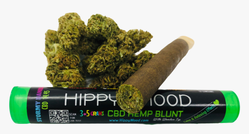 Moss, HD Png Download