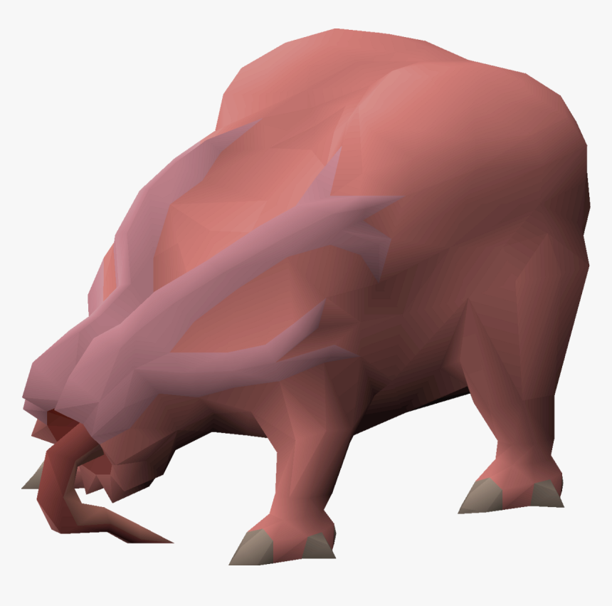 Domestic Pig, HD Png Download