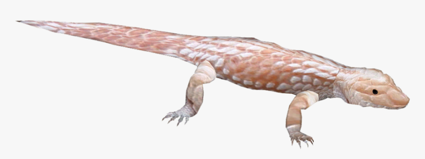 Reptile Tongue Png - Transparent Skink, Png Download