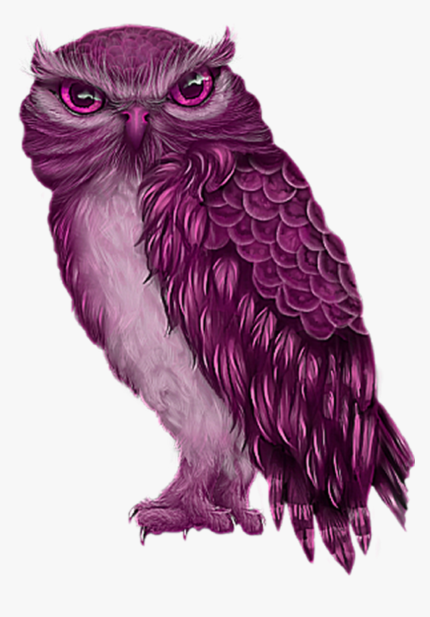 #freetoeddit #pink #owl - Owl, HD Png Download