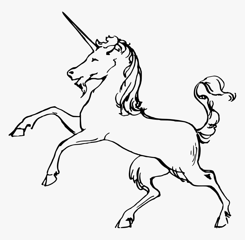 How To Draw A Unicorn in 6 Easy Steps - AZ Animals