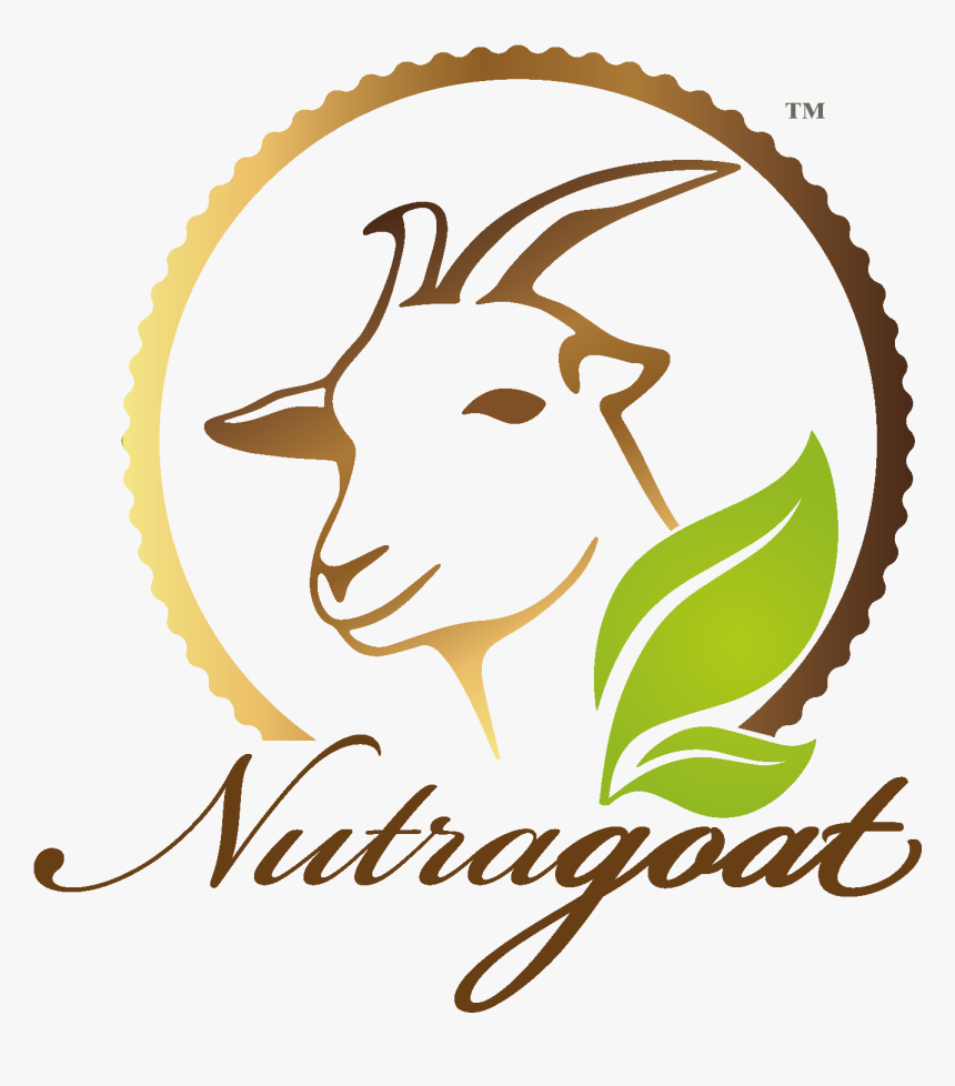 Things You Can Make Out Of Goat Milk Clipart Svg Transparent - Ladies Night Out, HD Png Download