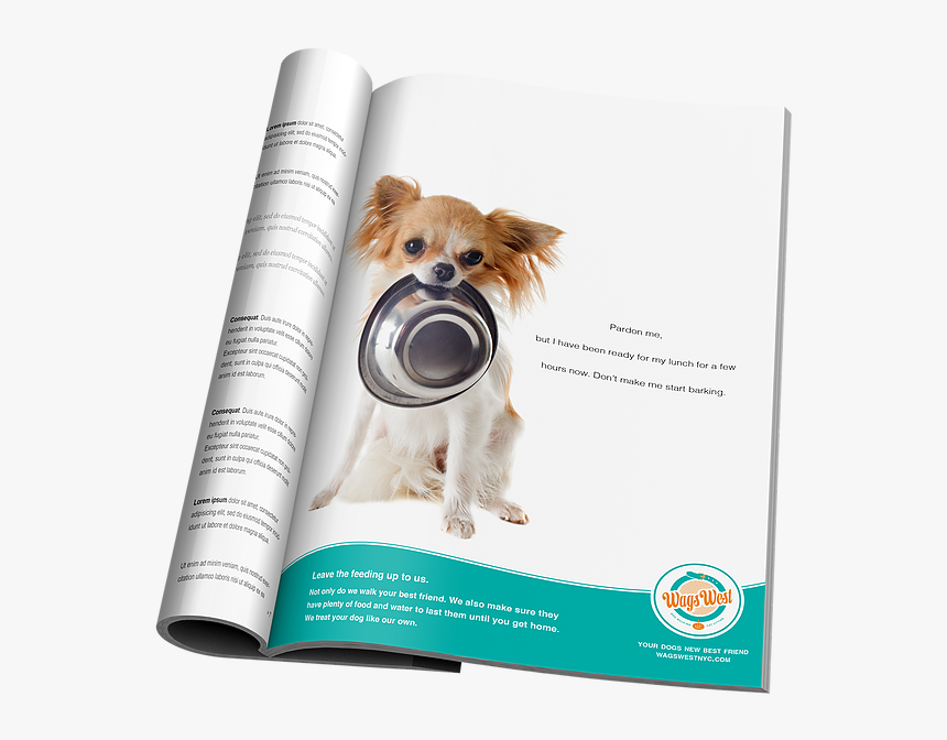 Cachorro Com Pote De Comida, HD Png Download