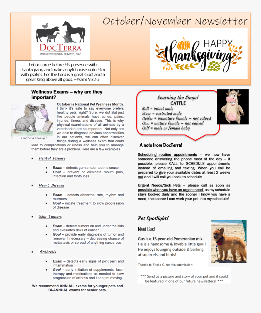 October-november 2019 Newsletter, HD Png Download