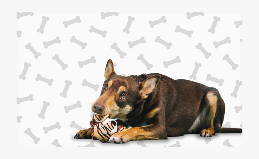 Guard Dog, HD Png Download