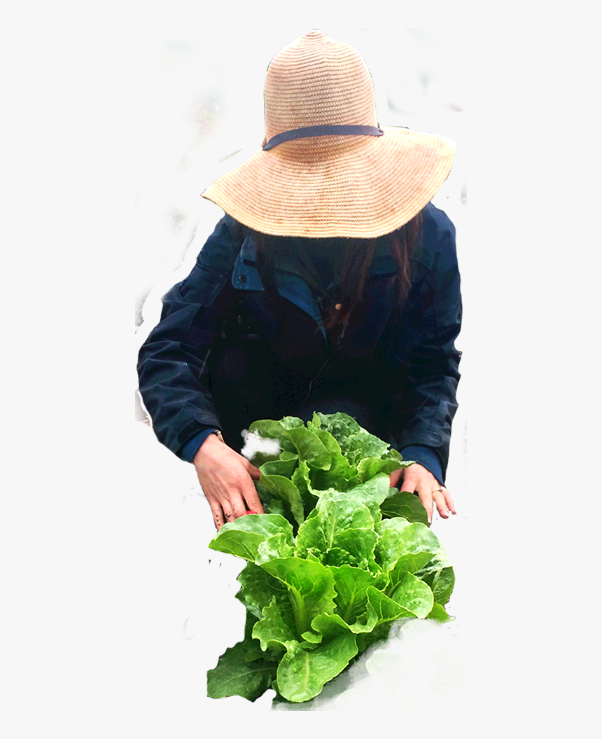 Farmer - Spring Greens, HD Png Download