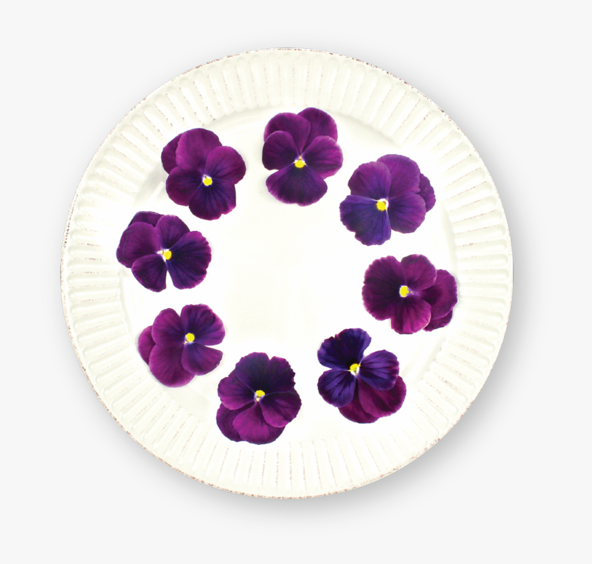 Beach Racket, HD Png Download