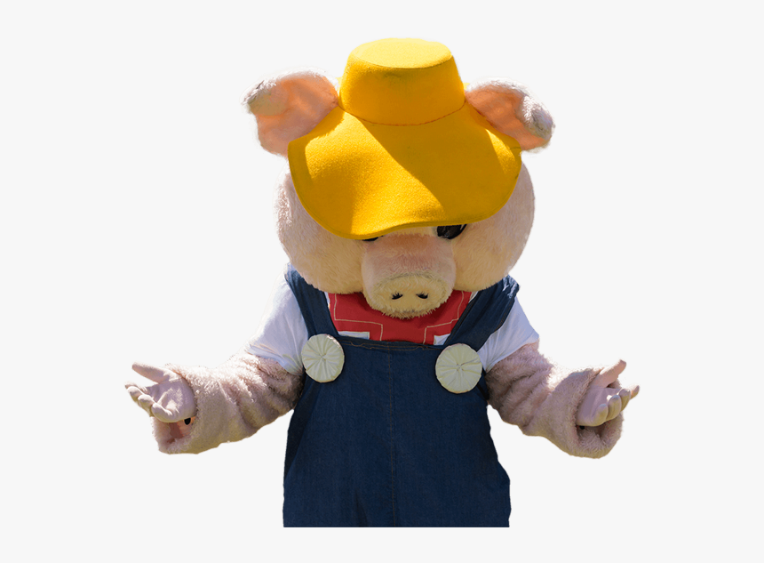 Farmer Ted S Pig Looking Sad Because We Cannot Find - Stuffed Toy, HD Png Download